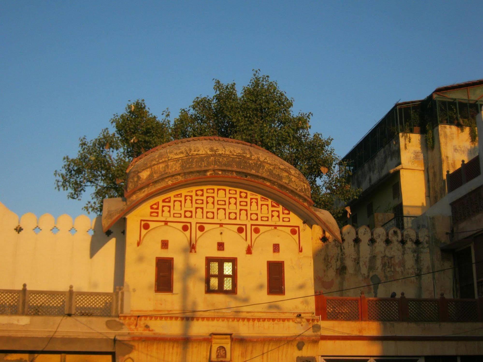 Rawla Mrignayani Palace Jaipur Eksteriør billede